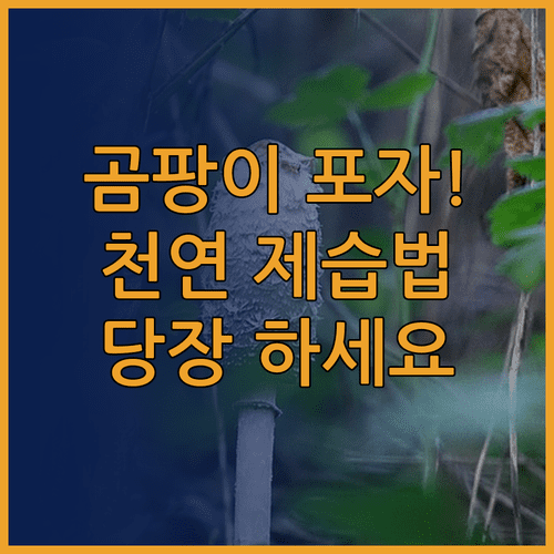 image a7075ec9