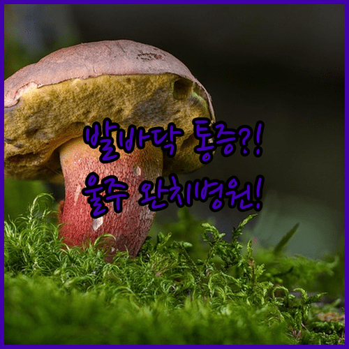 image 06994d2d