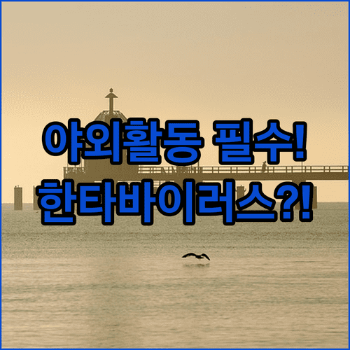 image 16623135