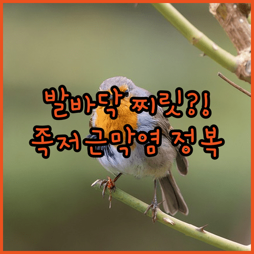 image 57ee220c