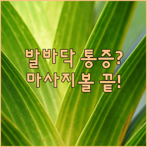 image 908c1123