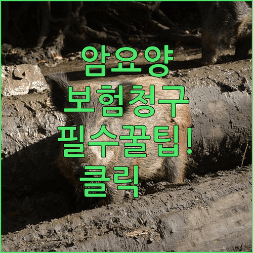image bddab02e