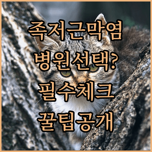 image cc8d06b2
