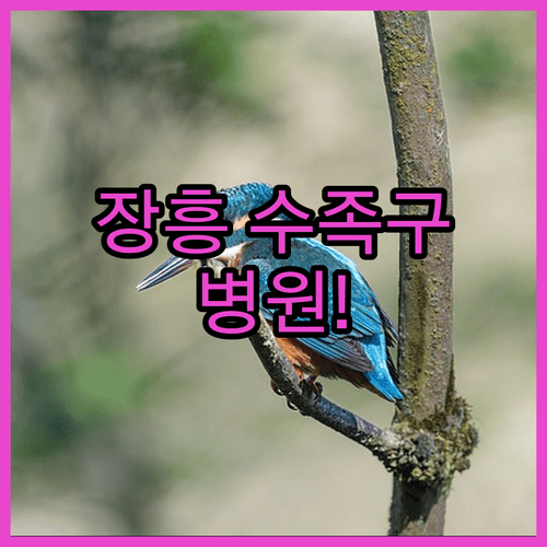 image dd6655a6